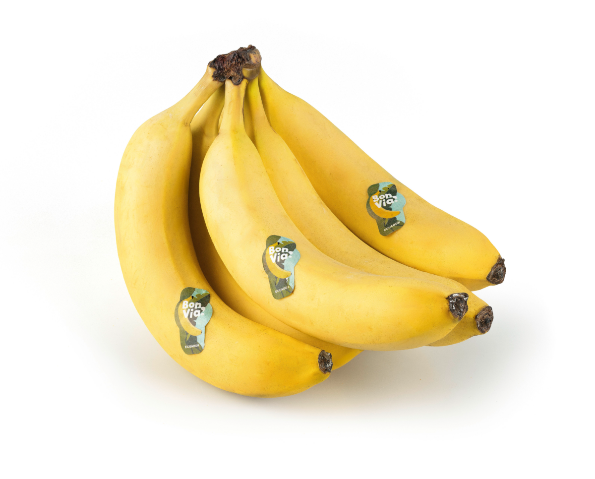 bon-via-bananai