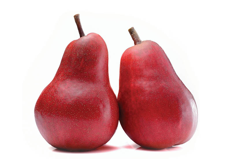 kriauses-red-barlett
