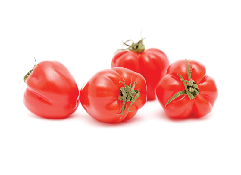 pomidorai-pomo-dolce-2