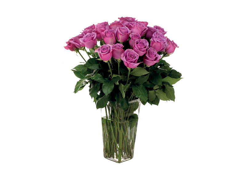 skintos-rozes-2