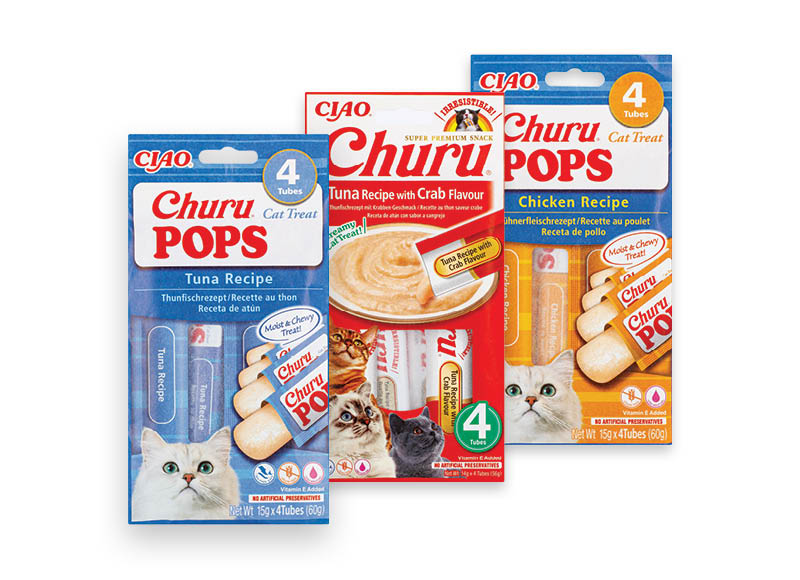 kaciu-skanestas-churu-pops