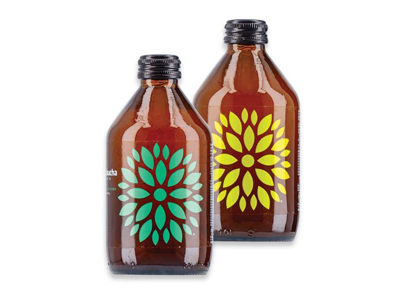 fermentuotas-gerimas-vigo-kombucha