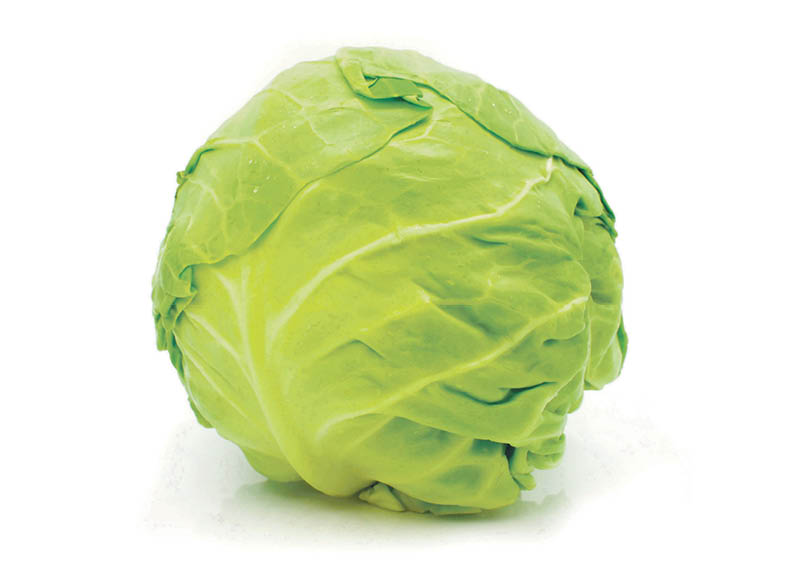 iki-ukis-salota-iceberg