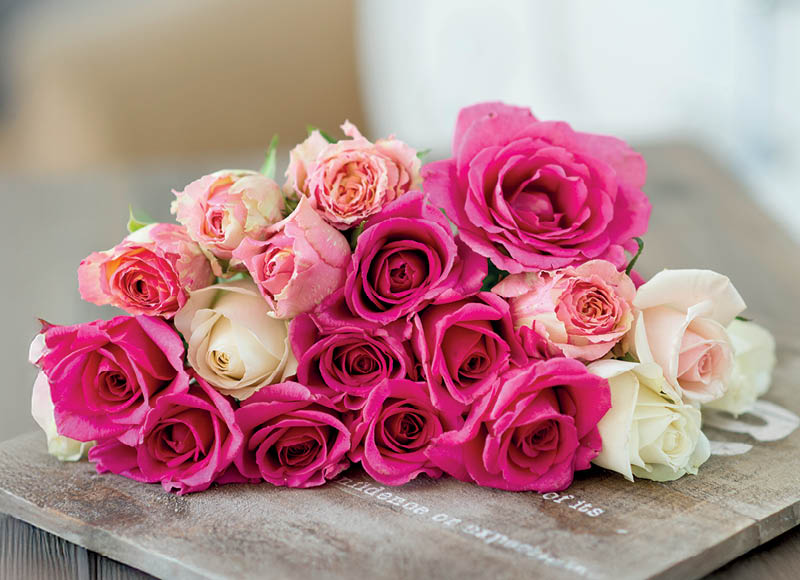 skintos-rozes-2