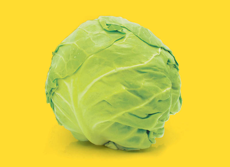 clever-kopustai