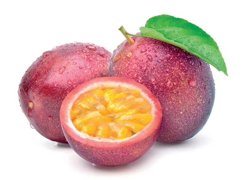 didzioji-pasiflora