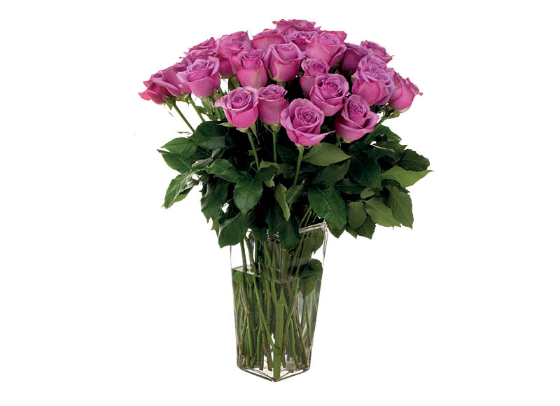 skintos-rozes-3
