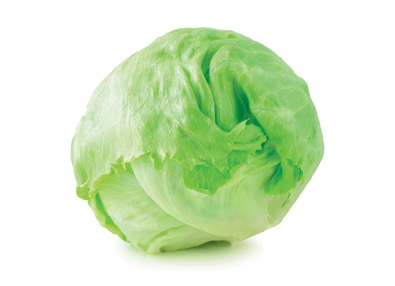 salota-iceberg