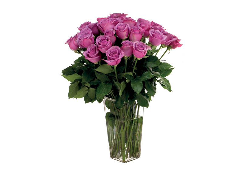 skintos-rozes-2