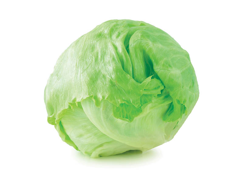 iki-ukis-salota-iceberg
