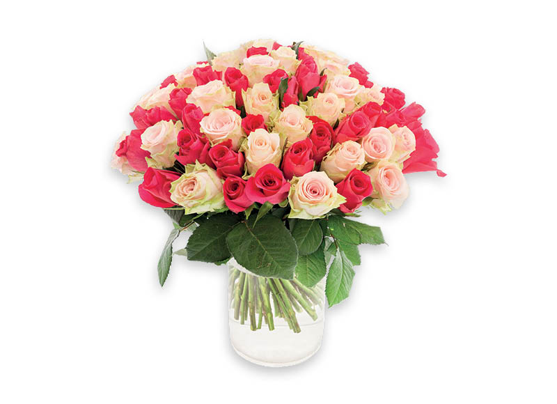skintos-rozes