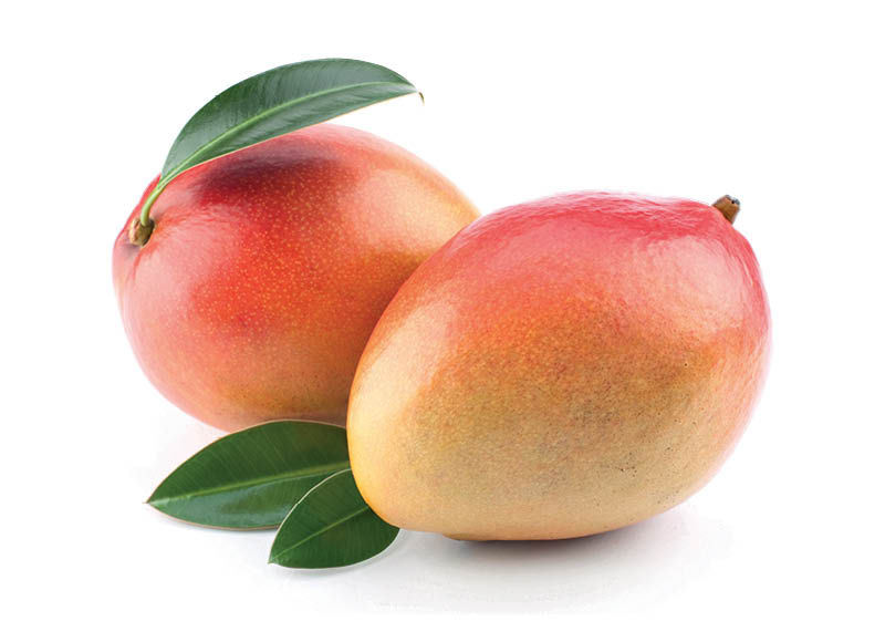 mangai