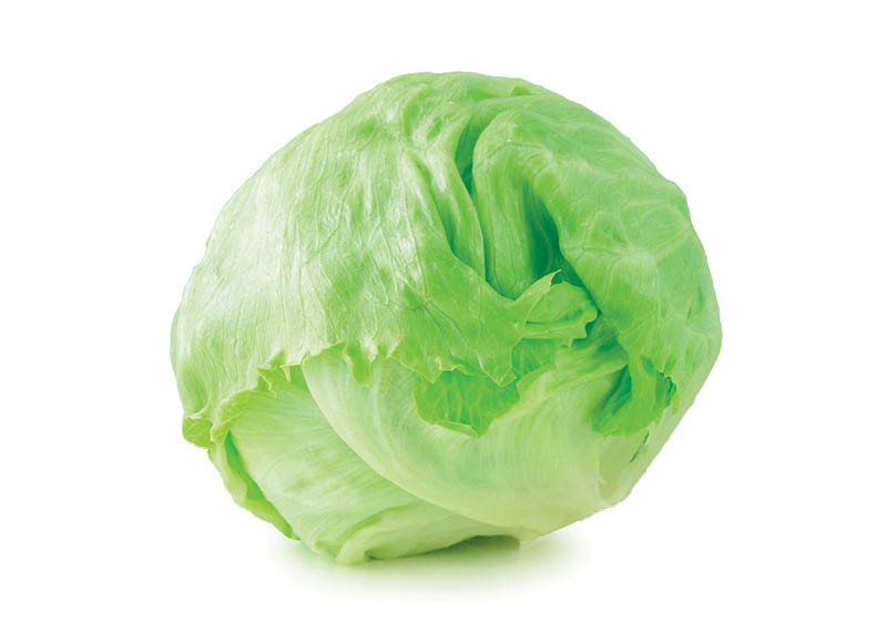 salota-iceberg
