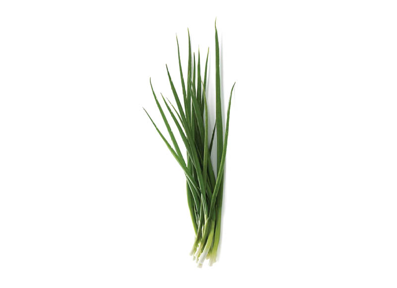 Svogūnų laiškai