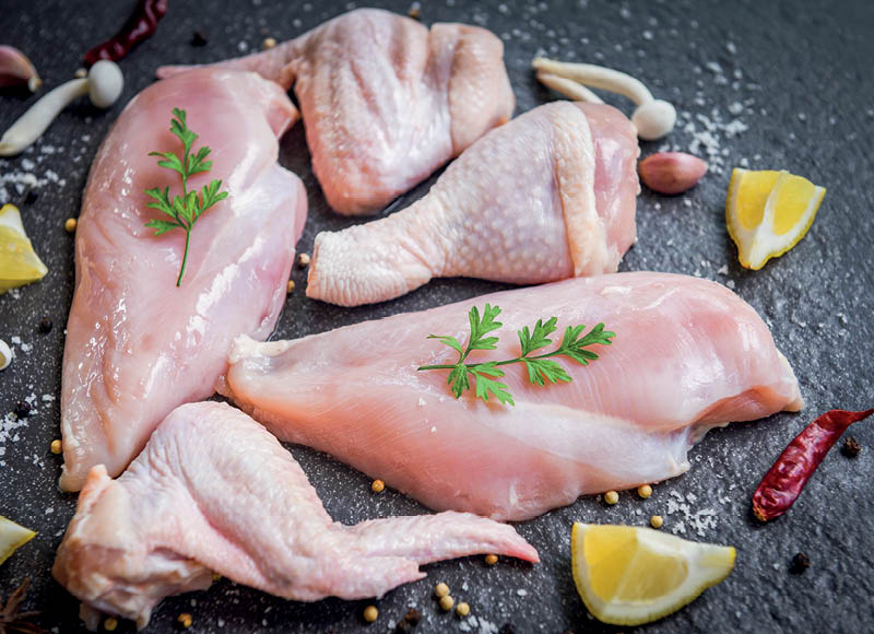 sviezi-broileriu-sparneliai-uzauginta-be-antibiotiku