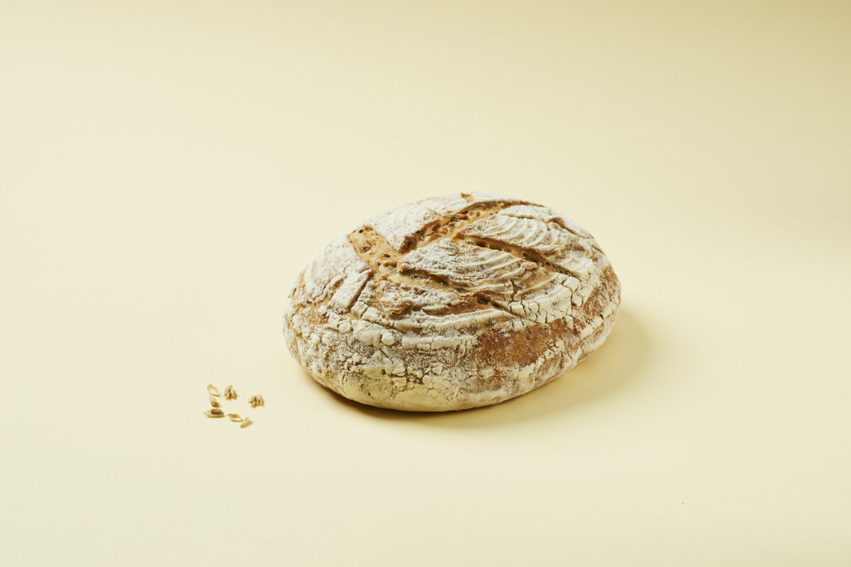raugo-duona-su-seklomis-sourdough