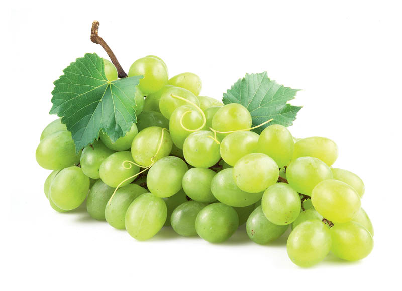 Besėklės žaliosios vynuogės