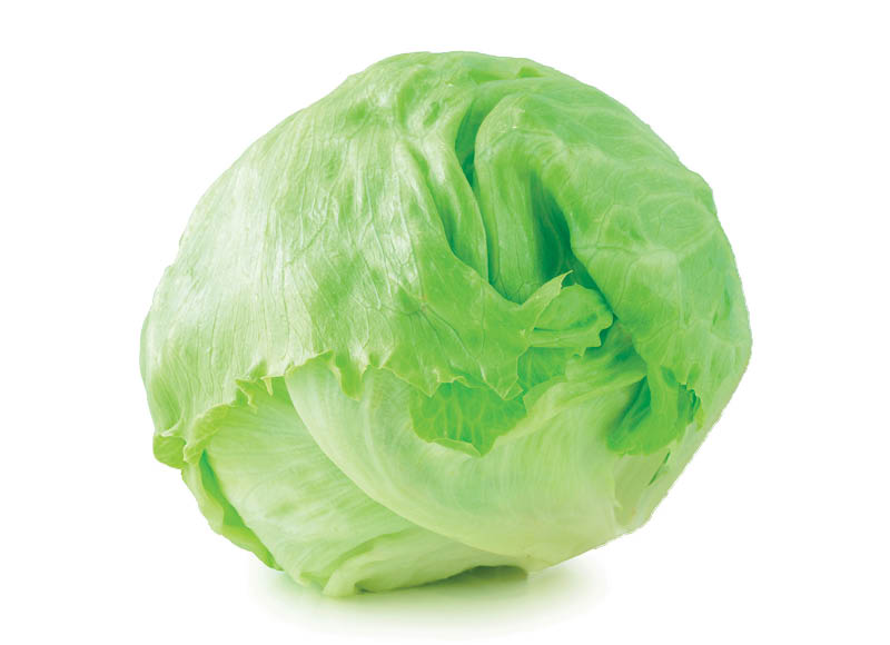 IKI ŪKIS salota ICEBERG