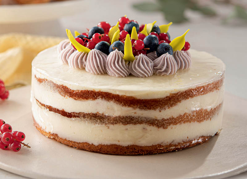 16-cm-gaivusis-tortas-su-uogu-zele-fas