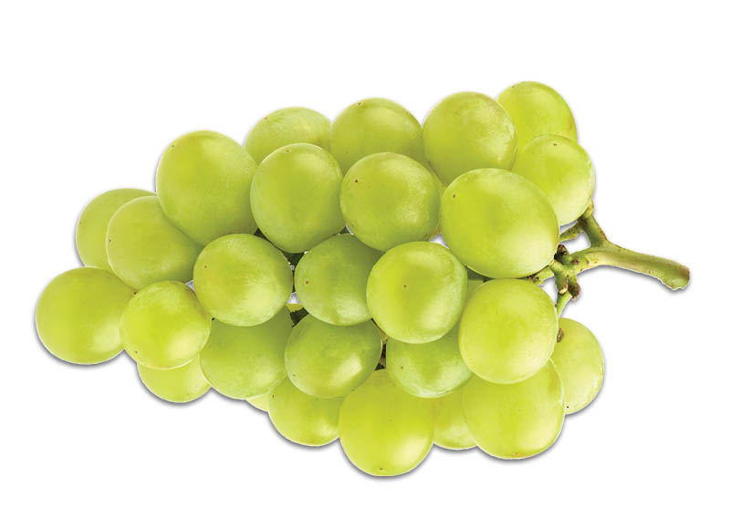 Žaliosios vynuogės