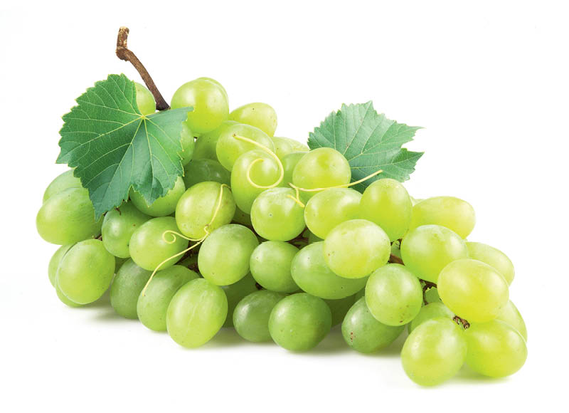 BON VIA besėklės žaliosios vynuogės