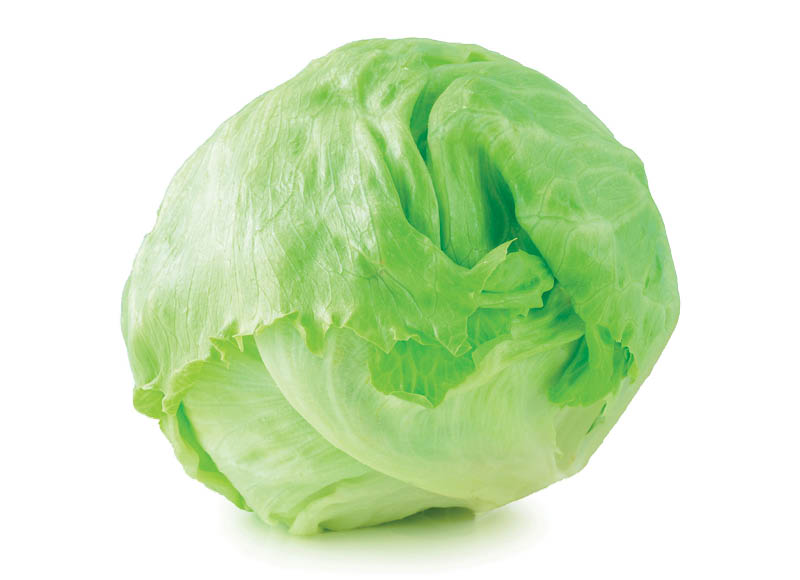 IKI ŪKIS salota ICEBERG