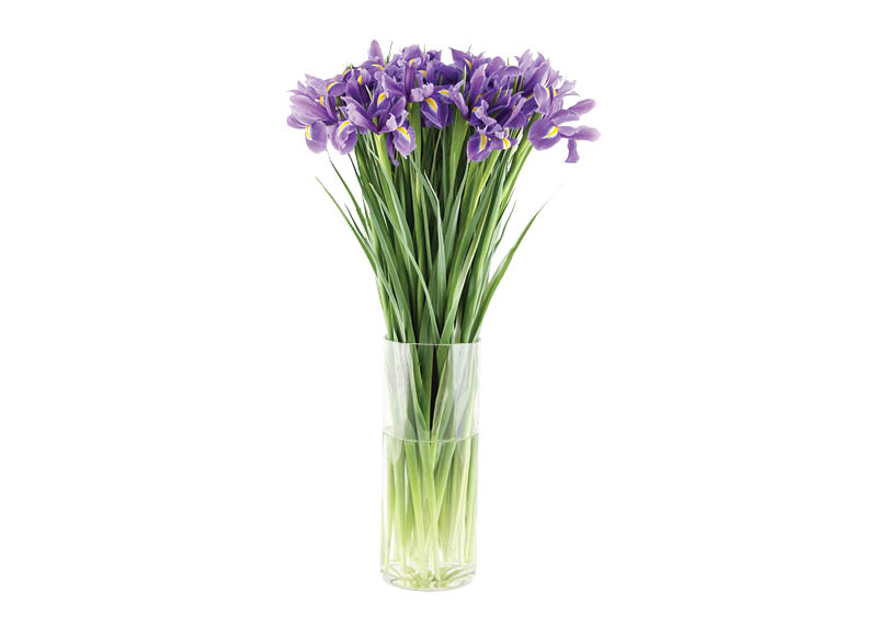 skintos-geles-irisai-10-vnt