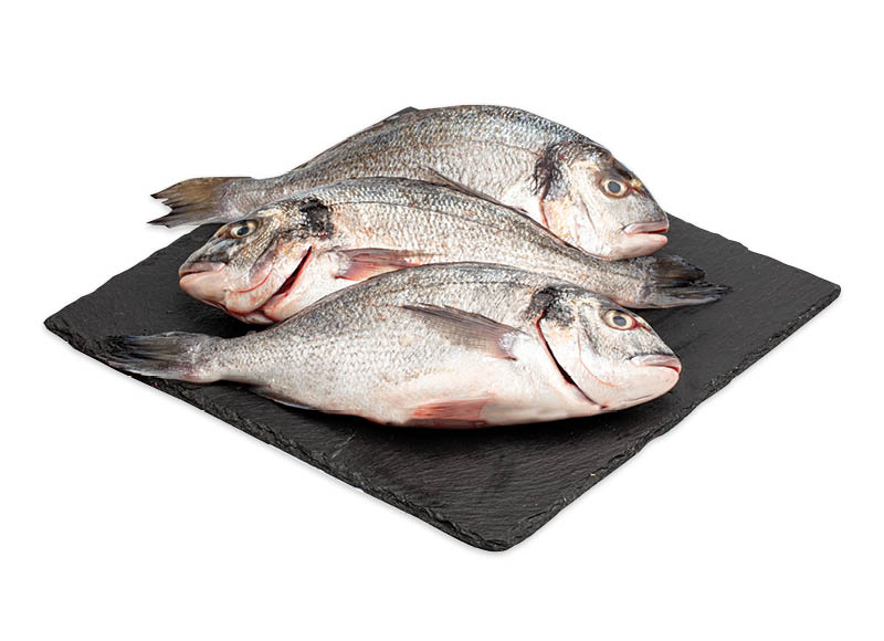 Atvėsintos auksaspalvės dorados