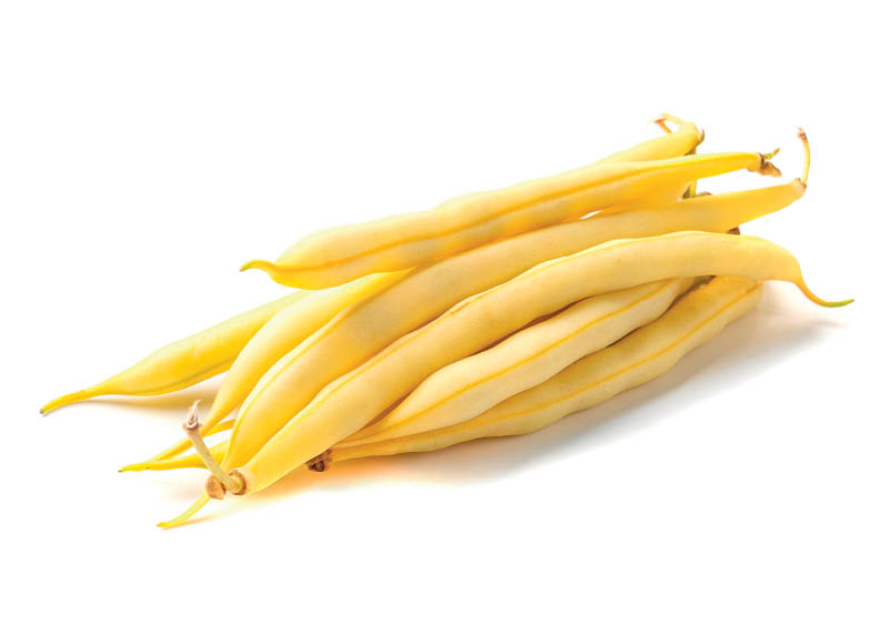 geltonosios-sparagines-pupeles