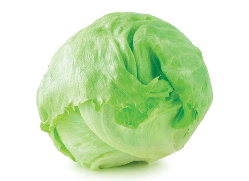 IKI ŪKIS salota ICEBERG