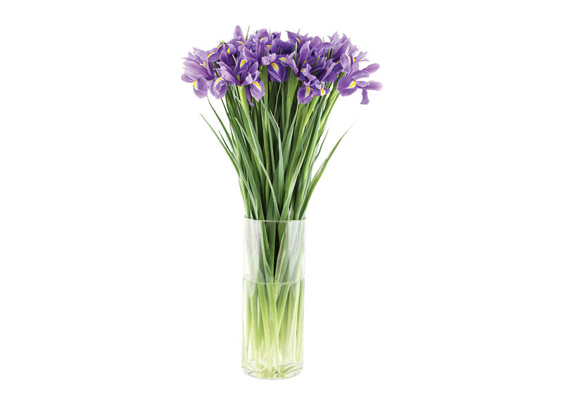 skintos-geles-irisai-10-vnt