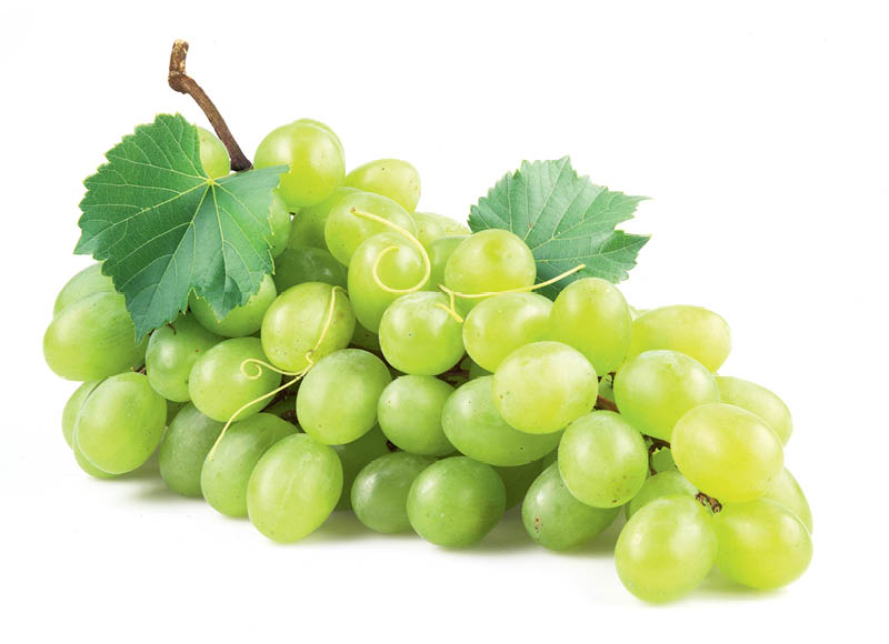 BON VIA besėklės žaliosios vynuogės