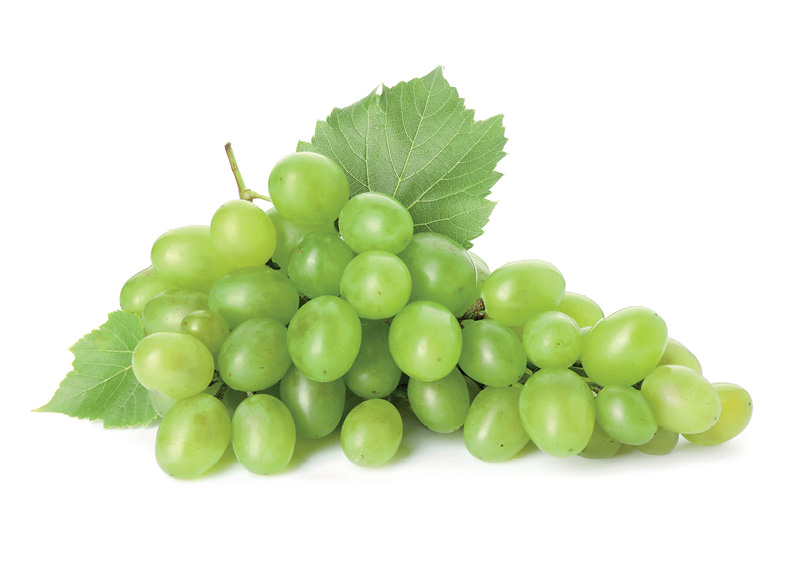 BON VIA žaliosios besėklės vynuogės