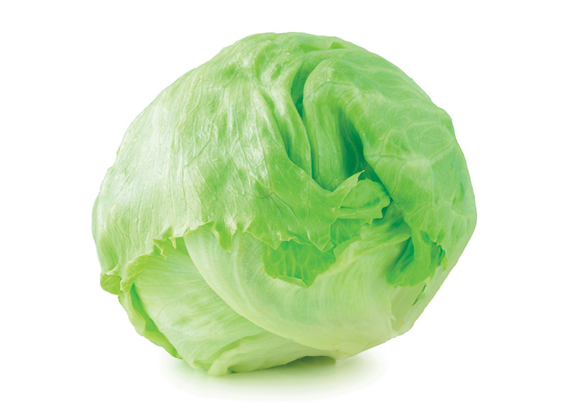 IKI ŪKIS salota ICEBERG