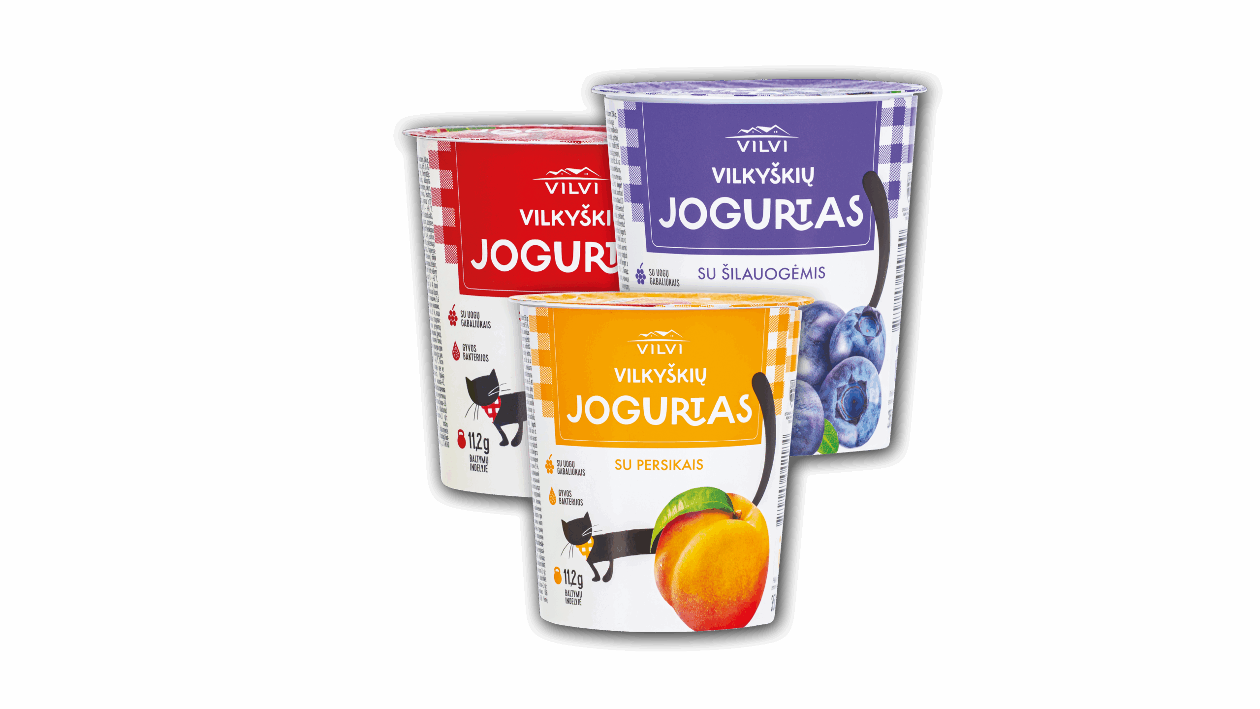 VILKYŠKIŲ jogurtams