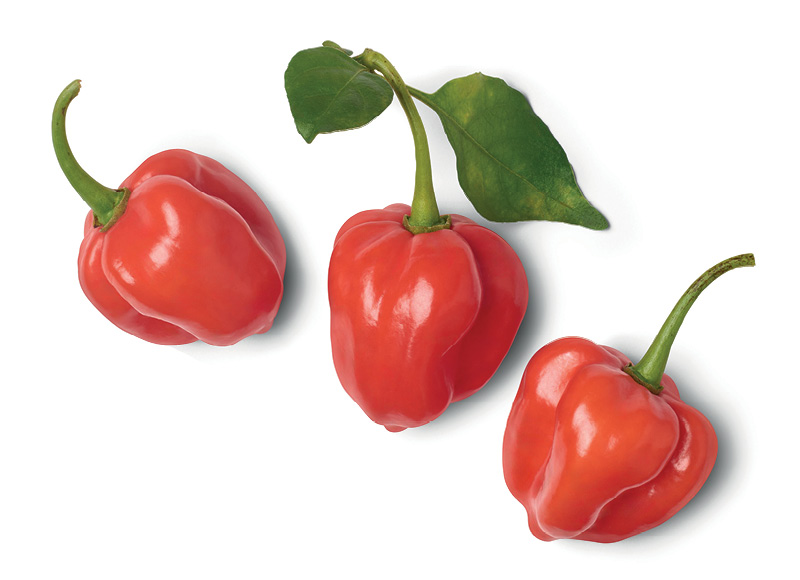 Aitrieji HABANERO pipirai