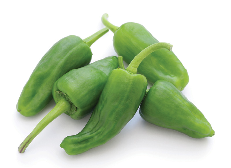 Paprikos PIMIENTO DE PADRON