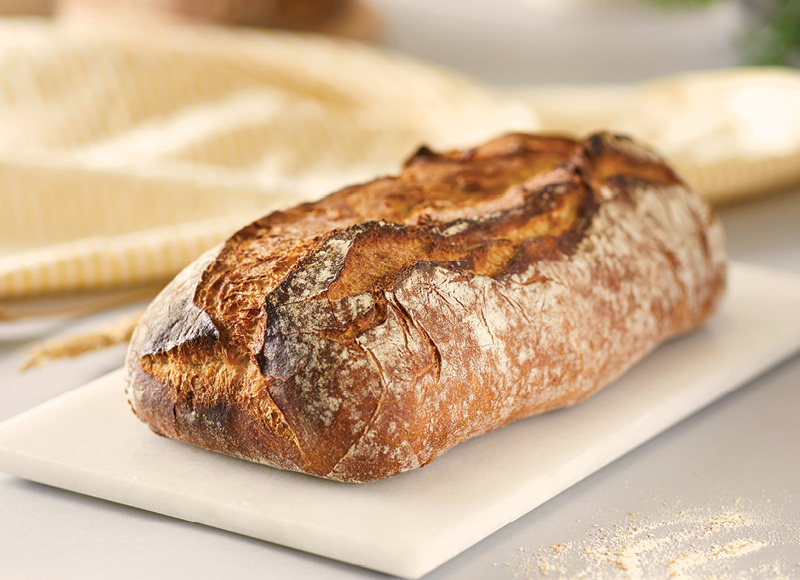Raugo duona SOURDOUGH