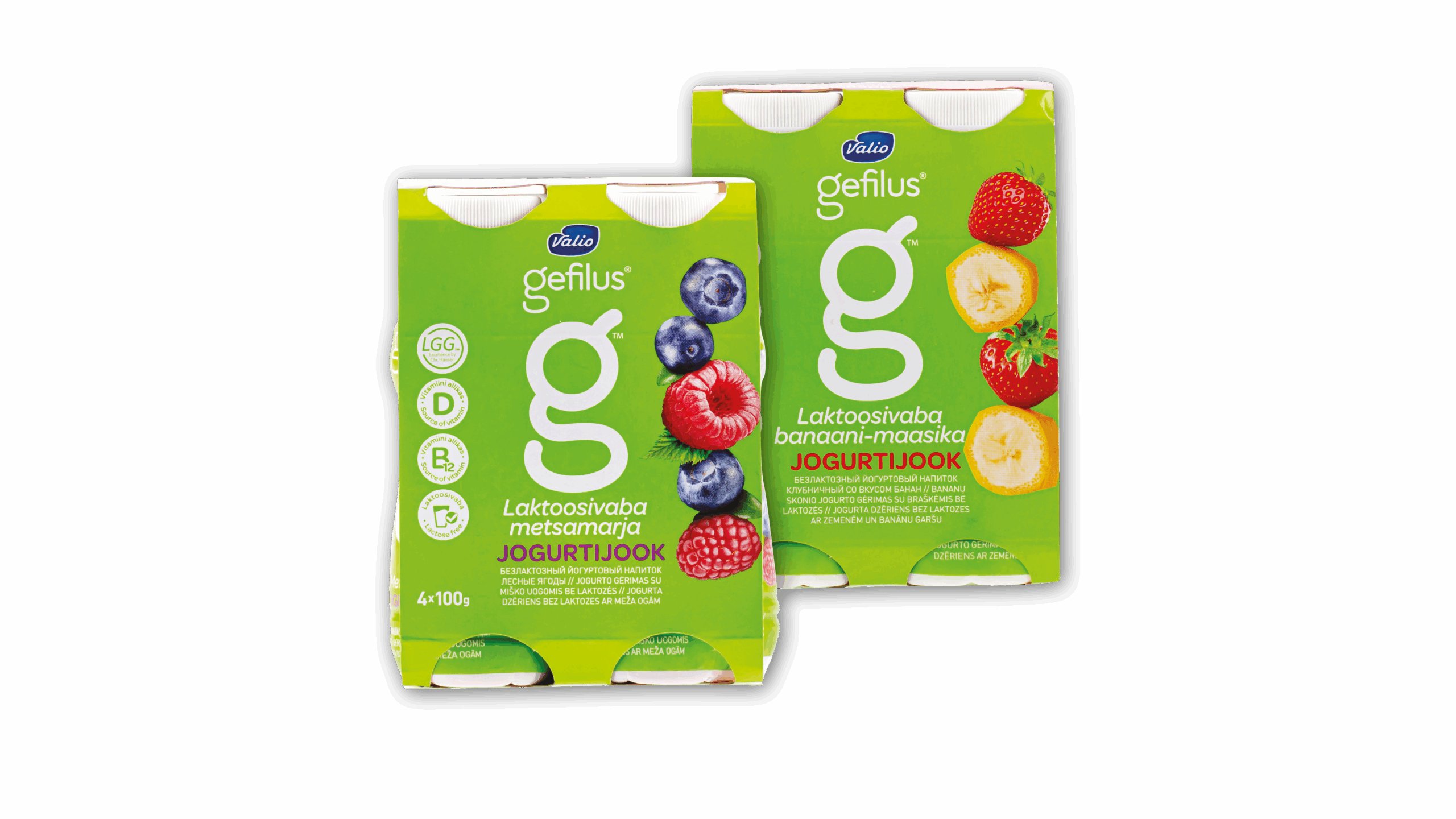 Jogurto gėrimas GEFILUS
