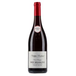 raudonasis-vynas-p-bouchard-bourgogne-pinot-noir-075l-075-l