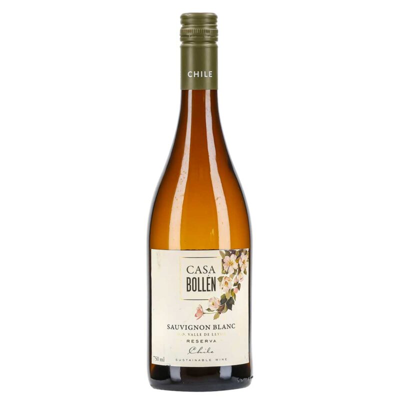 baltasis-vynas-casa-bollen-sauvignon-blanc-white-dry-075-l