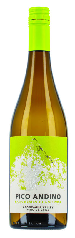 baltasis-vynas-pico-andino-sauvignon-blanc-white-075-l