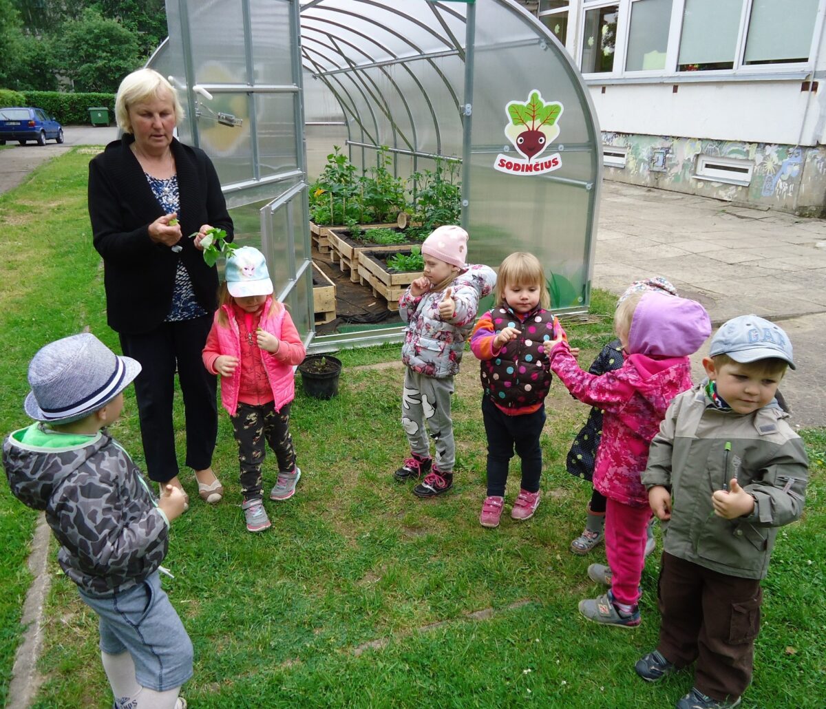 Mokys vaikus auginti daržoves: dvidešimčiai šalies darželių – po šiltnamį