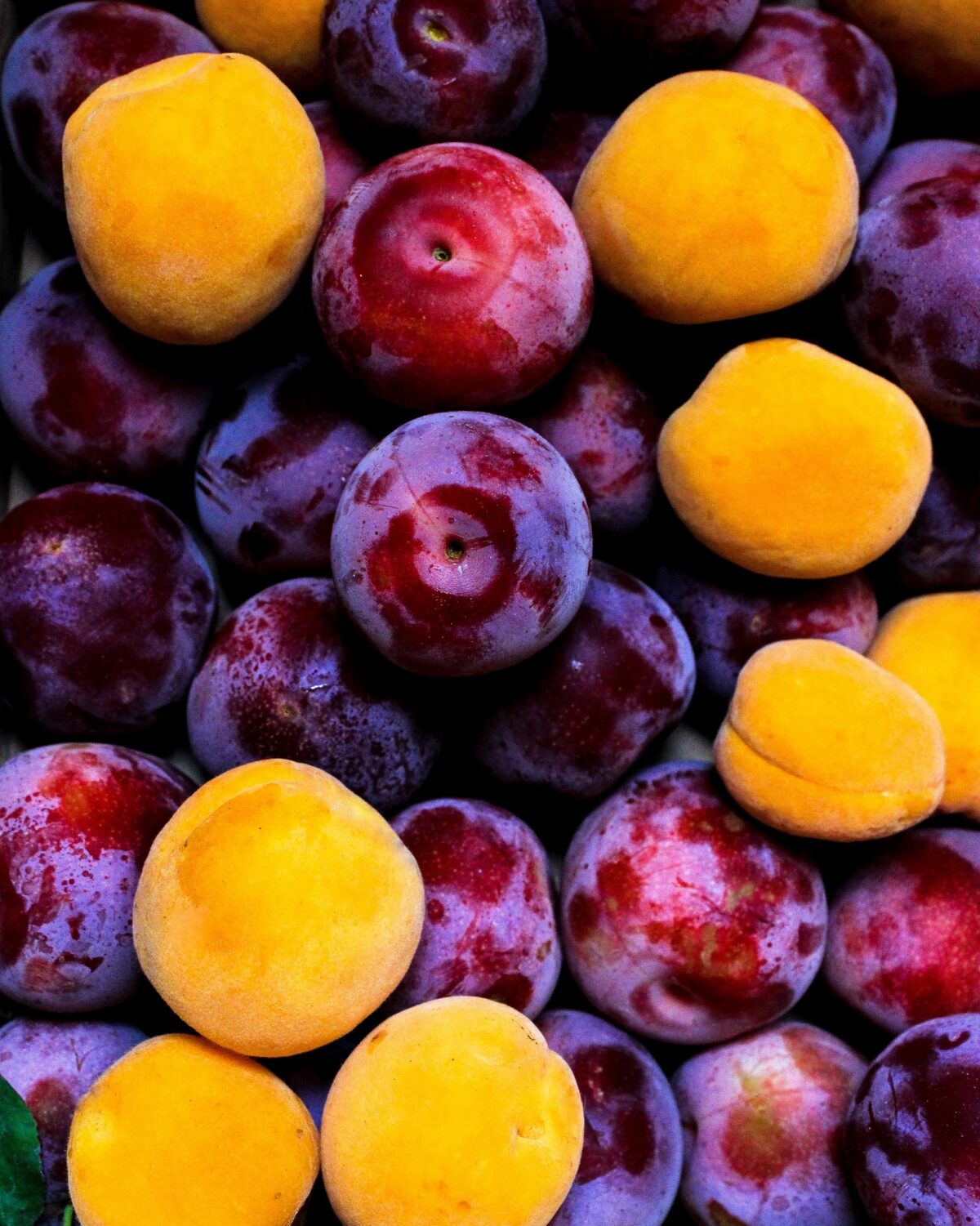 Kaulavaisių sezonas įsibėgėja: atraskite dar neišbandytus receptus su vasaros vaisiais