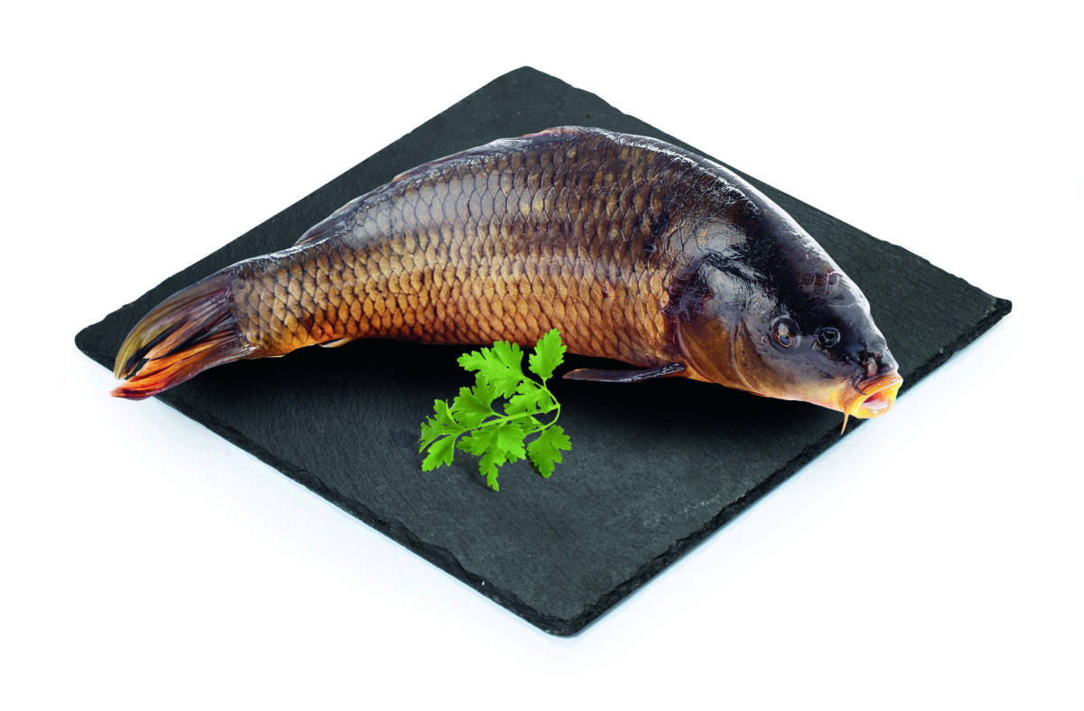 paprastieji-karpiai-su-galva-skrosti-atsaldyti-cyprinus-carpio