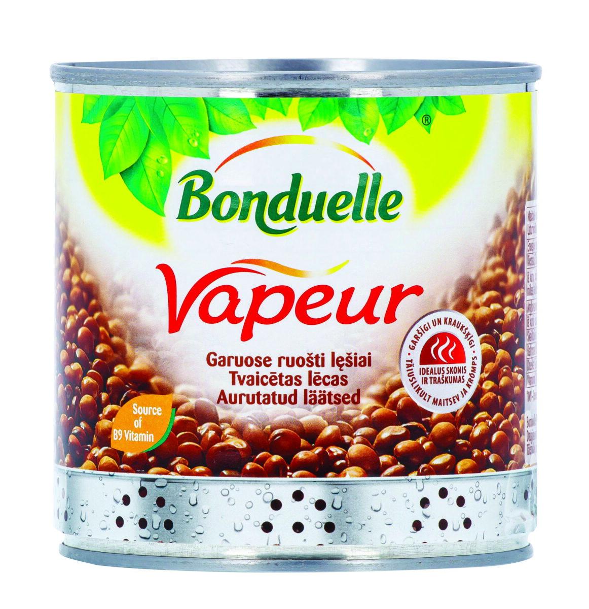 vapeur-lesiai