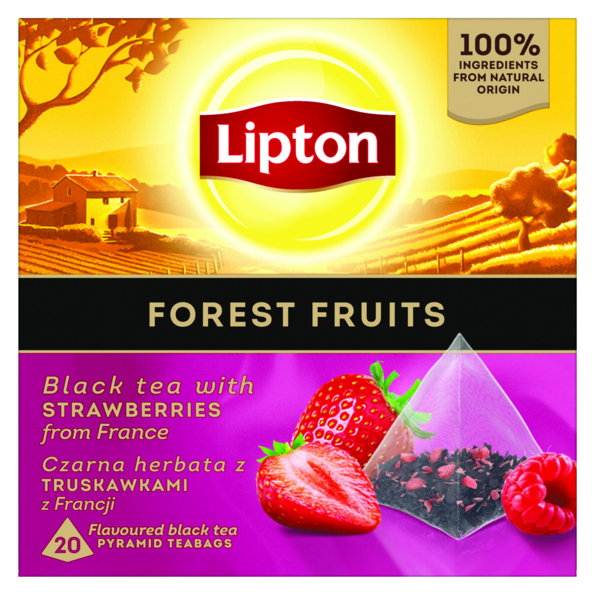 juodoji-arbata-su-misko-uogu-skoniu-lipton