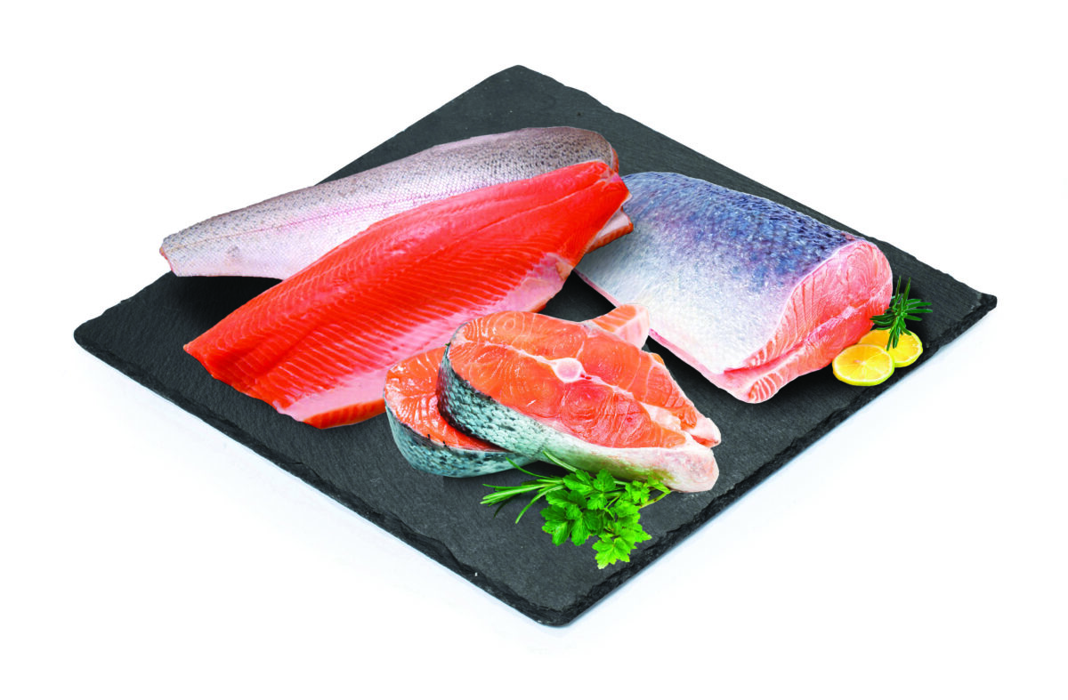 atlantiniu-lasisu-file-su-oda-salmon-salar