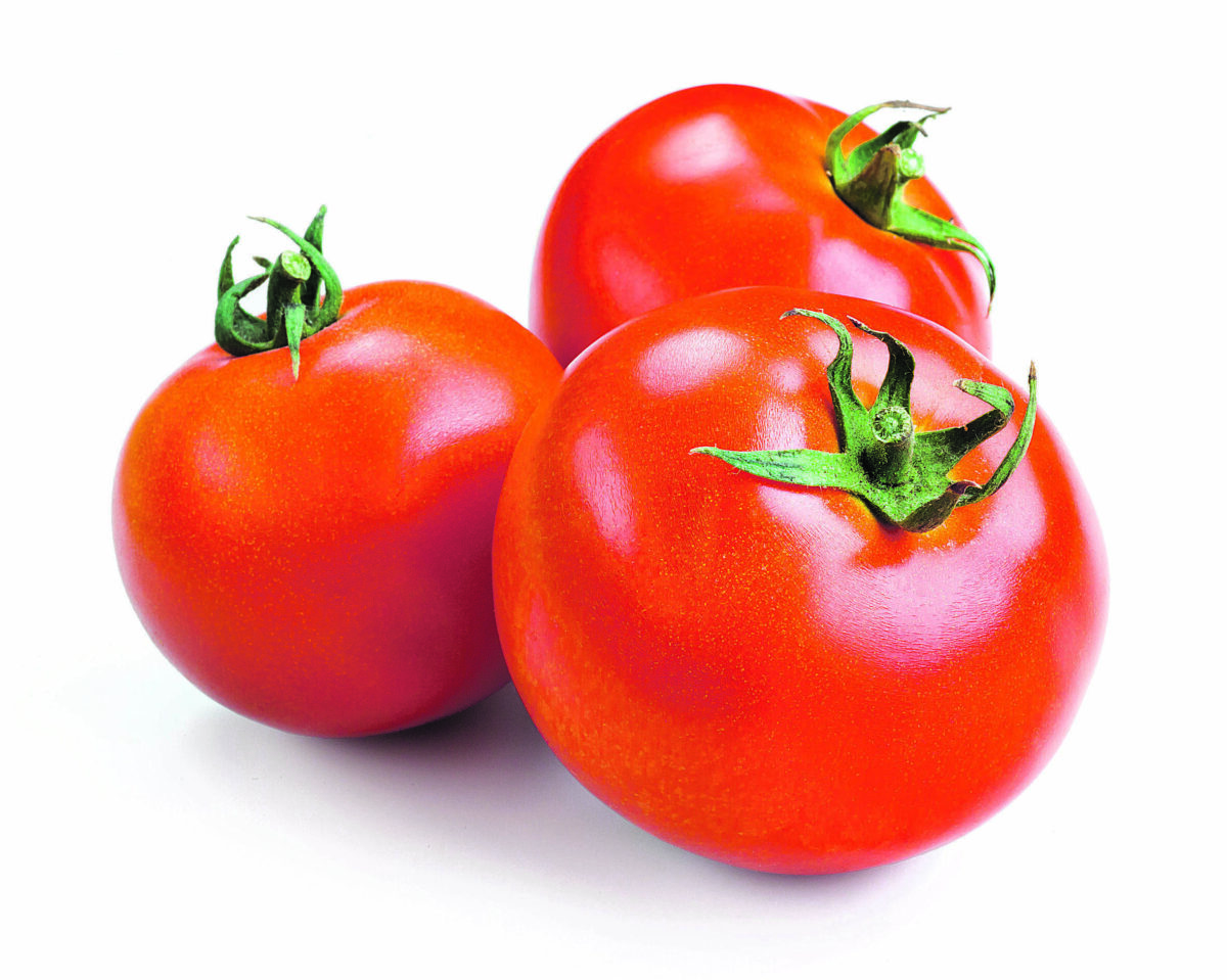 pomidorai