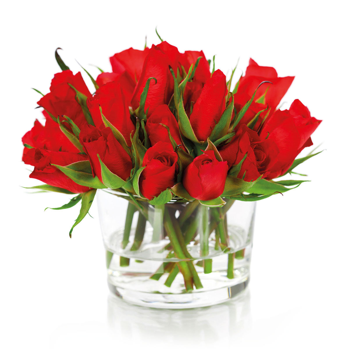 skintos-rozes-15-vnt-40-cm-15-vnt